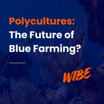 Cover Image for Polycultures: The Future of Blue Farming?
