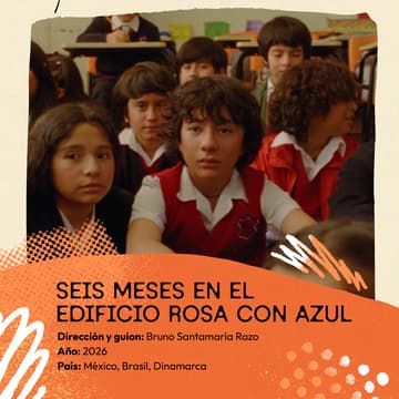 Cover Image for Seis meses en el edificio rosa