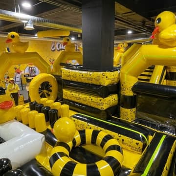 Cover Image for Inflalandia Quack