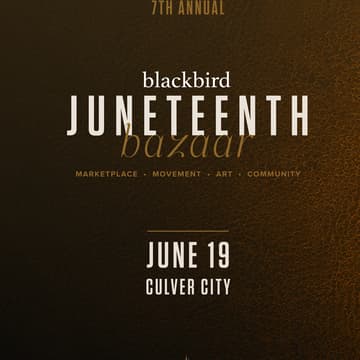 Cover Image for 7th Annual Juneteenth Bazaar