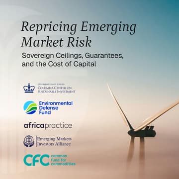 Cover Image for Repricing Emerging Market Risk: Sovereign Ceilings, Guarantees, and the Cost of Capital