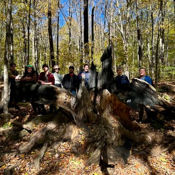 Cover Image for Mushroom Marvels and Fall Foliage - Connecticut