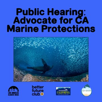 Cover Image for 🐋 MPA Public Hearing: Protect our CA Coasts!