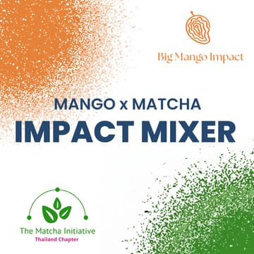Cover Image for Mango Matcha Impact Mixer