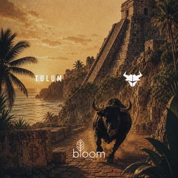 Cover Image for TULUM -