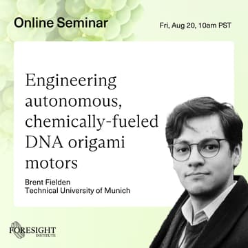 Cover Image for Brent Fielden | Engineering autonomous, chemically fueled DNA origami motors