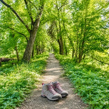 Cover Image for TrailMix Presents: Intro to Hiking