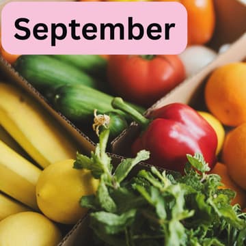 Cover Image for Produce Packing