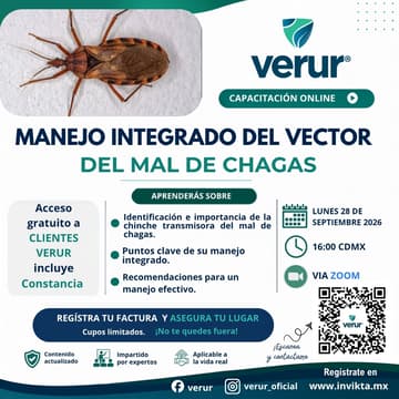 Cover Image for MIP DEL VECTOR DEL MAL DE CHAGAS
