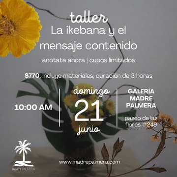 Cover Image for La ikebana y el mensaje contenido