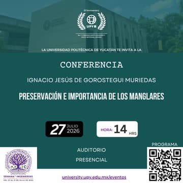 Cover Image for Preservación e importancia de los manglares