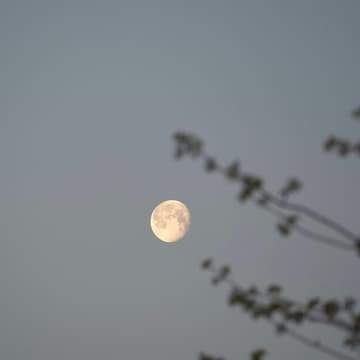 Cover Image for FULL MOON CIRCLE