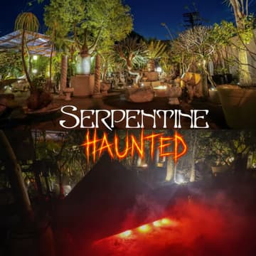 Cover Image for Serpentine (Haunted)