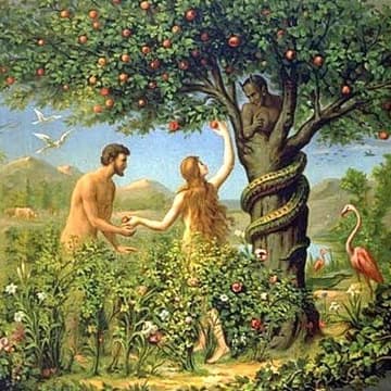 Cover Image for Is taste the right question we should be asking?