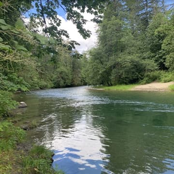 Cover Image for Glenora Trails Head Park to Cowichan River Loop