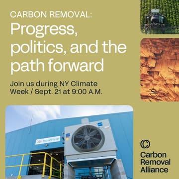 Cover Image for Carbon Removal: Progress, politics, and the path forward