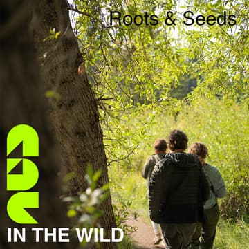 Cover Image for Roots & Seeds: Ethnobotany Hike