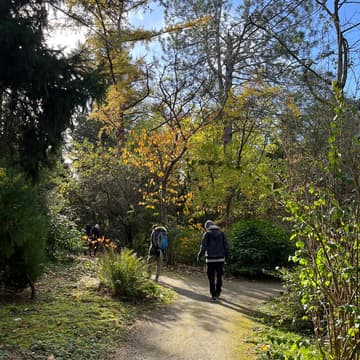 Cover Image for Sunday Morning Forest Walk 🌳 | An Inner-Circle Gathering