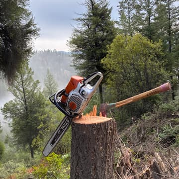 Cover Image for From the Forest: Chainsaw Skills and Safety with Lucas King