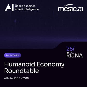 Cover Image for Humanoid Economy Roundtable