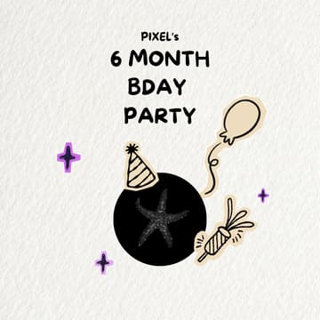 Cover Image for PIXEL's 6 Month Birthday Party!