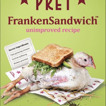 Cover Image for Take action against frankenchicken