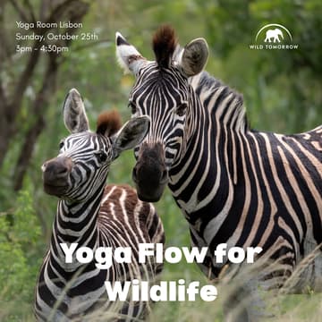 Cover Image for Yoga Flow for Wildlife