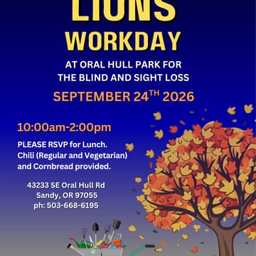 Cover Image for Lions Workday