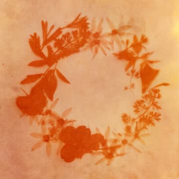 Cover Image for Make Turmeric Anthotypes
