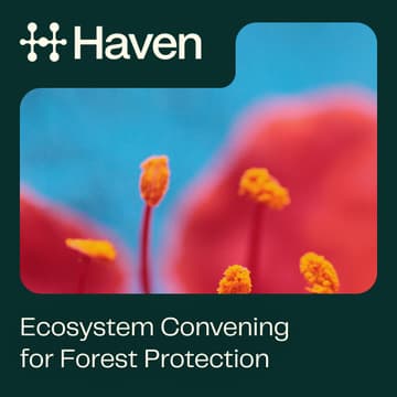 Cover Image for Haven | Ecosystem Convening for Forest Protection