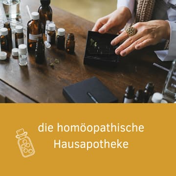 Cover Image for die homöopathische Hausapotheke