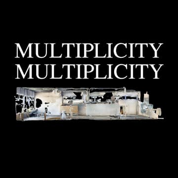 Cover Image for Multiplicity: Figures, Memory, Landscape