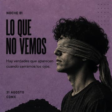 Cover Image for Lo que no vemos.
