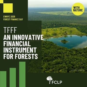 Cover Image for TFFF: An Innovative Financial Instrument for Forests