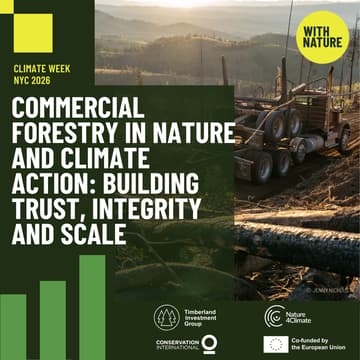 Cover Image for Commercial Forestry in Nature and Climate Action: Building Trust, Integrity and Scale