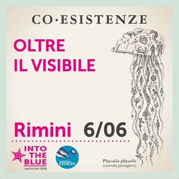 Cover Image for Oltre il visibile