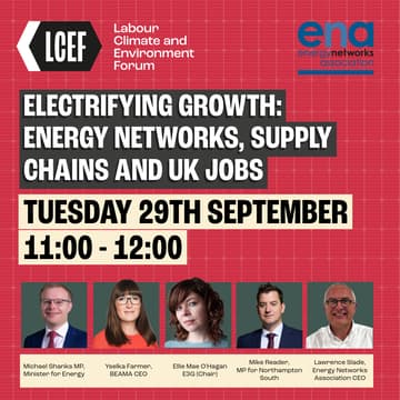 Cover Image for Electrifying Growth: Energy Networks, Supply Chains and UK Jobs