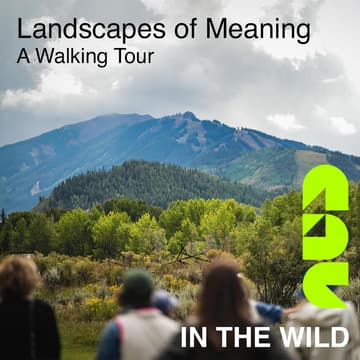 Cover Image for Landscapes of Meaning