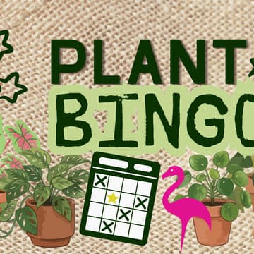 Cover Image for BOTANICAL BINGO + HAPPY HOUR 🌿