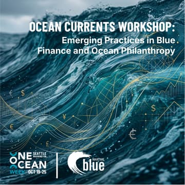 Cover Image for Ocean Currents Workshop: Emerging Practices in Blue Finance and Ocean Philanthropy