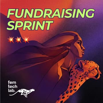 Cover Image for FUNDRAISING SPRINT (Intro Call)