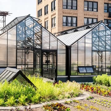 Cover Image for Lunch & Learn: Sustainable Food Systems with The Roof Crop