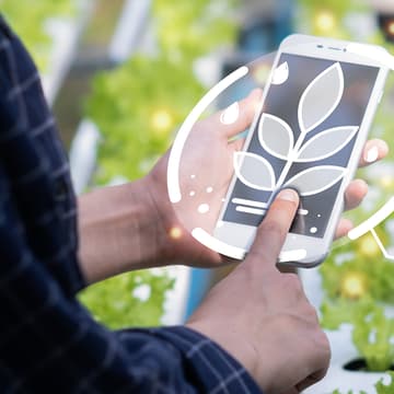 Cover Image for Webinar for SMB virksomheter i Agritech: Datadrevet landbruk og Agritech