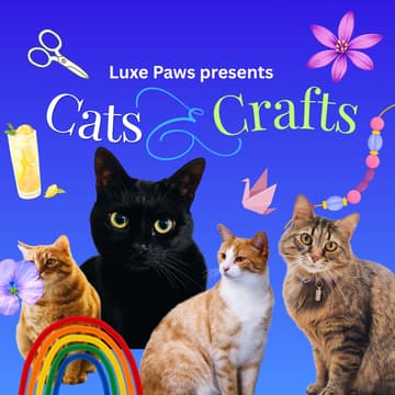 Cover Image for Luxe Paws + Cats & Crafts