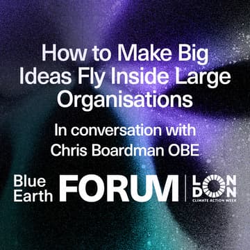 Cover Image for How to Make Big Ideas Fly Inside Large Organisations