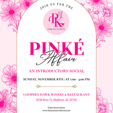 Cover Image for The Pinké Affair: An Introductory Social