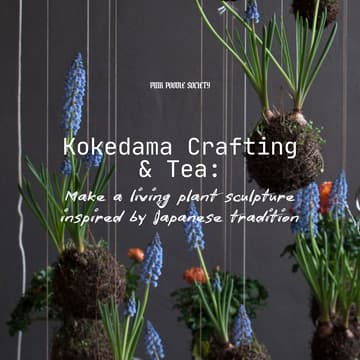Cover Image for Amsterdam | Kokedama Crafting & Tea