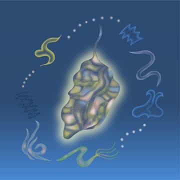 Cover Image for COCOON - An Orchestra Sleepover Concert