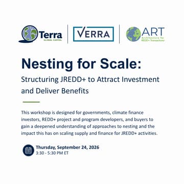 Cover Image for Nesting for Scale: Structuring JREDD+ to Attract Investment and Deliver Benefits
