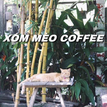 Cover Image for Women Wednesdays: Cats, Coffee & Chaos 🐈☕️